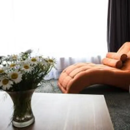 President מלון טימישוארה